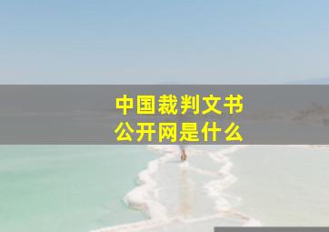 中国裁判文书公开网是什么