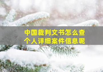 中国裁判文书怎么查个人详细案件信息呢