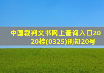 中国裁判文书网上查询入口2020桂(0325)刑初20号