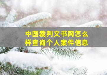 中国裁判文书网怎么样查询个人案件信息