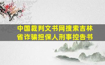 中国裁判文书网搜索吉林省诈骗担保人刑事控告书