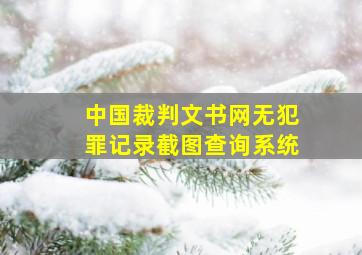 中国裁判文书网无犯罪记录截图查询系统