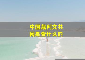 中国裁判文书网是查什么的