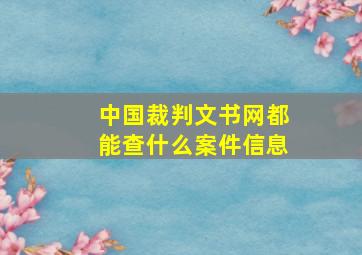 中国裁判文书网都能查什么案件信息