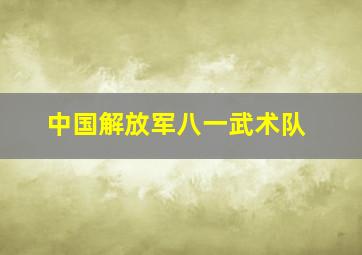 中国解放军八一武术队