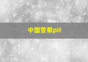 中国警察pit