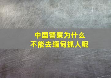 中国警察为什么不能去缅甸抓人呢