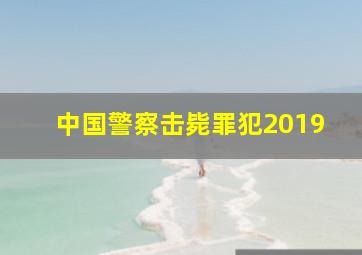 中国警察击毙罪犯2019