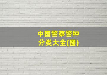 中国警察警种分类大全(图)