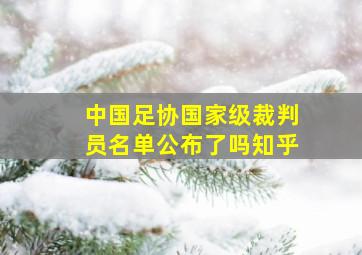 中国足协国家级裁判员名单公布了吗知乎