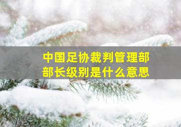 中国足协裁判管理部部长级别是什么意思