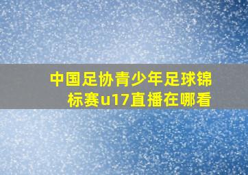 中国足协青少年足球锦标赛u17直播在哪看