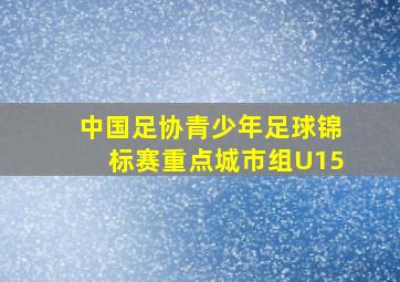 中国足协青少年足球锦标赛重点城市组U15