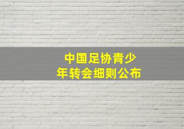 中国足协青少年转会细则公布