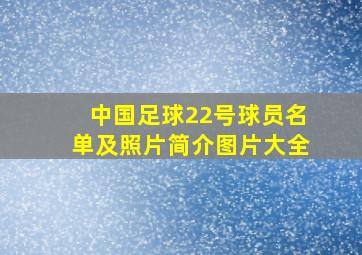 中国足球22号球员名单及照片简介图片大全