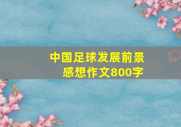 中国足球发展前景感想作文800字