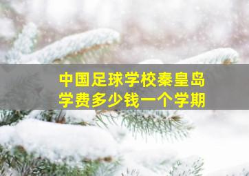 中国足球学校秦皇岛学费多少钱一个学期