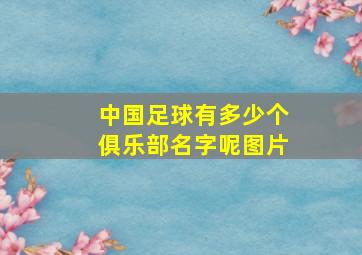 中国足球有多少个俱乐部名字呢图片