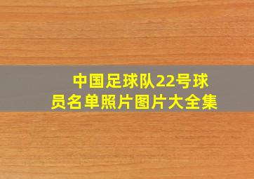 中国足球队22号球员名单照片图片大全集