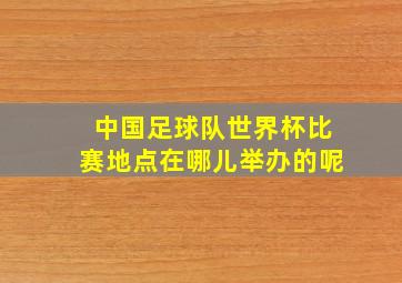 中国足球队世界杯比赛地点在哪儿举办的呢