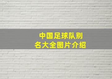 中国足球队别名大全图片介绍