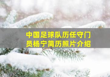 中国足球队历任守门员杨宁简历照片介绍