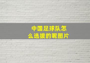 中国足球队怎么选拔的呢图片