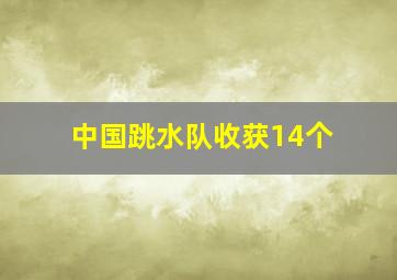 中国跳水队收获14个