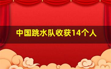 中国跳水队收获14个人