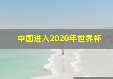 中国进入2020年世界杯