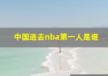 中国进去nba第一人是谁