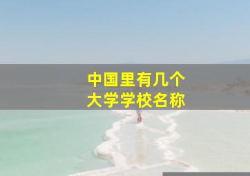 中国里有几个大学学校名称