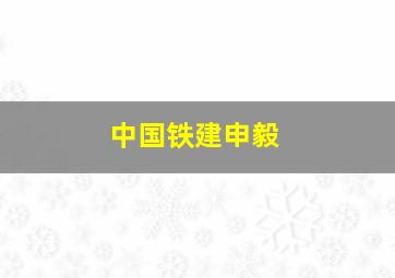 中国铁建申毅