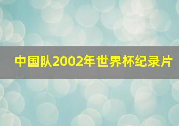 中国队2002年世界杯纪录片