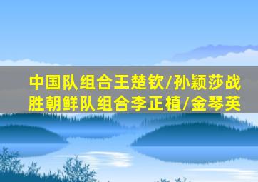 中国队组合王楚钦/孙颖莎战胜朝鲜队组合李正植/金琴英