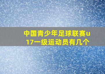 中国青少年足球联赛u17一级运动员有几个