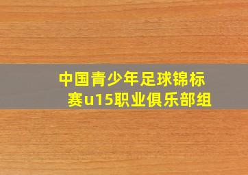 中国青少年足球锦标赛u15职业俱乐部组