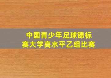 中国青少年足球锦标赛大学高水平乙组比赛