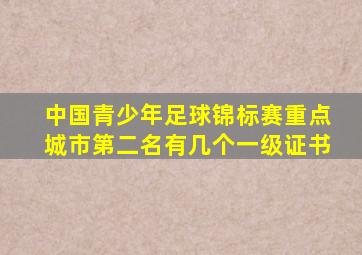 中国青少年足球锦标赛重点城市第二名有几个一级证书