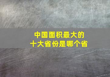 中国面积最大的十大省份是哪个省