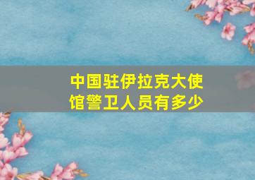 中国驻伊拉克大使馆警卫人员有多少