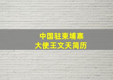 中国驻柬埔寨大使王文天简历