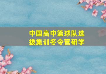 中国高中篮球队选拔集训冬令营研学