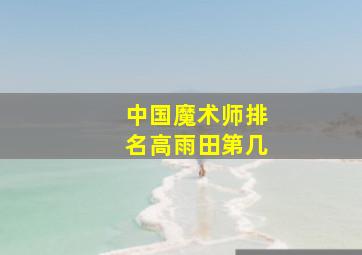 中国魔术师排名高雨田第几