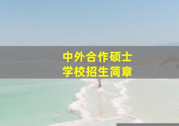 中外合作硕士学校招生简章