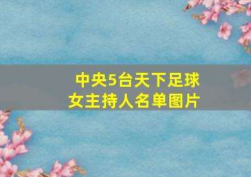 中央5台天下足球女主持人名单图片