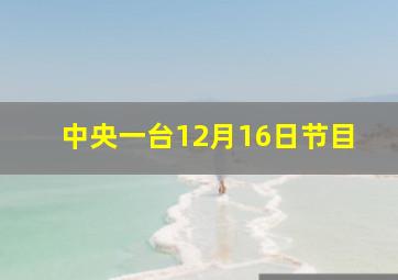 中央一台12月16日节目