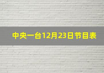 中央一台12月23日节目表