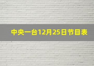 中央一台12月25日节目表