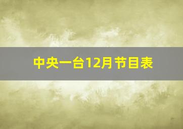 中央一台12月节目表